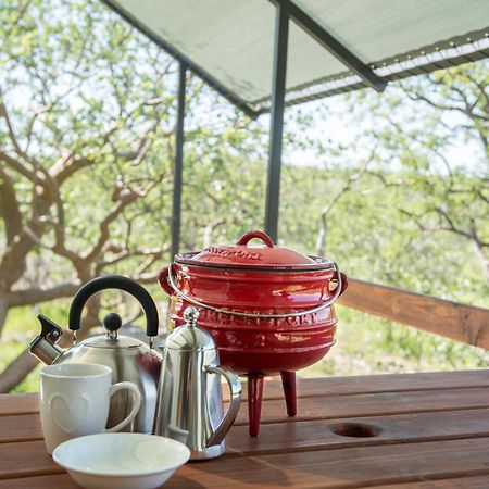 Etosha Safari Camping2Go Okaukuejo Bilik gambar